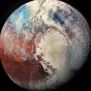 Meet your Posher, Paul